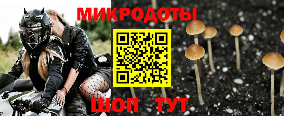 Псилоцибиновые грибы Magic Shrooms  Вход с VPN  Псилоцибиновые грибы мицелий  Ноябрьск 