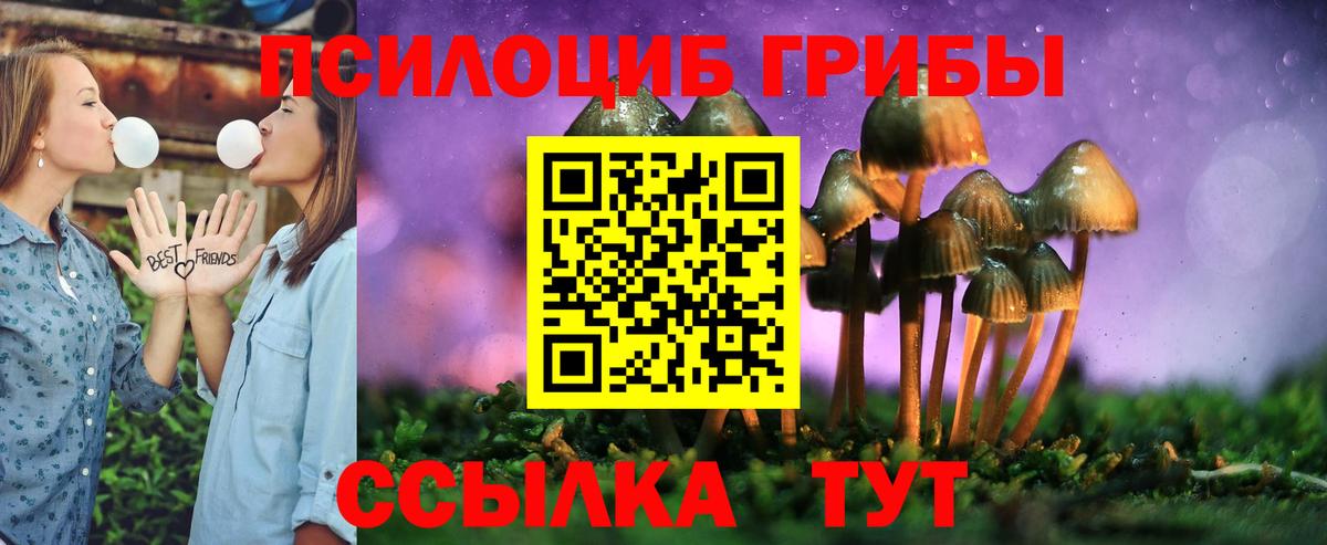 Псилоцибиновые грибы мухоморы Ноябрьск